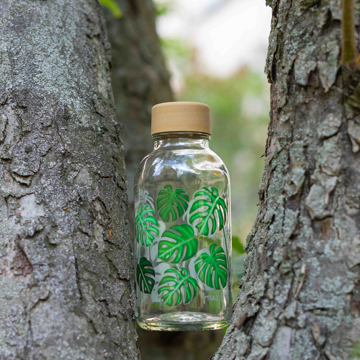 GREEN LIVING 40 CL Bouteille en verre