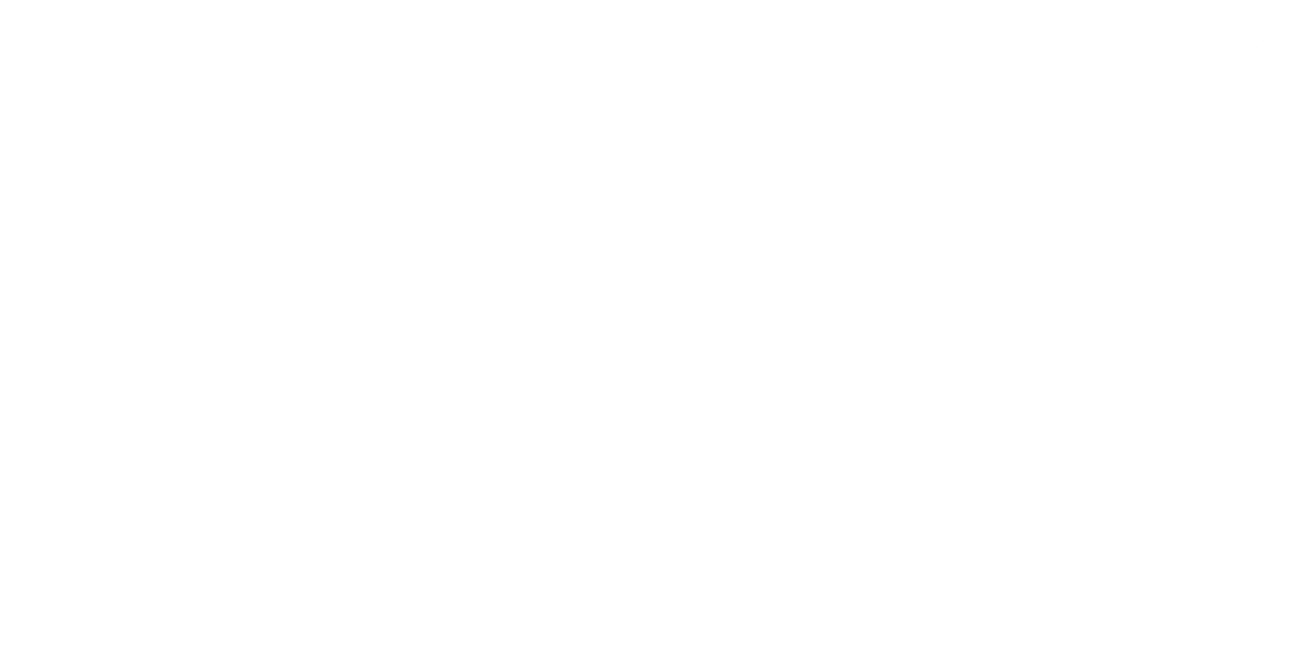 Carrybottles Logo mit 'carry' Schriftzug – nachhaltige Glasflaschen für umweltbewusstes Trinken