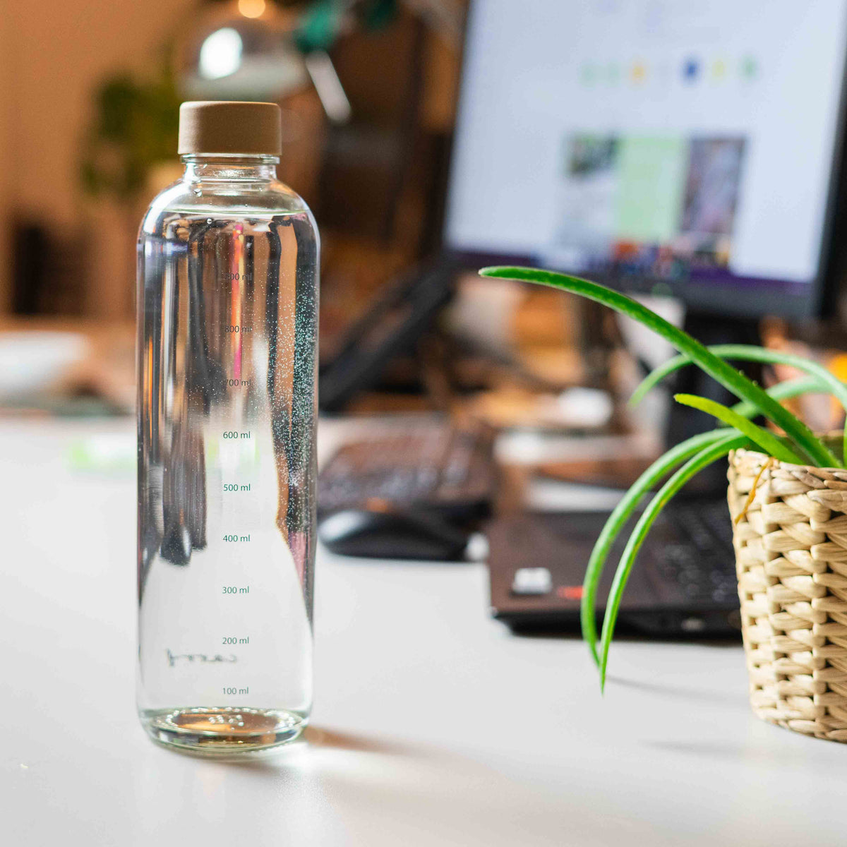 HYDRATION BOOSTER 1,0 l Glasflasche