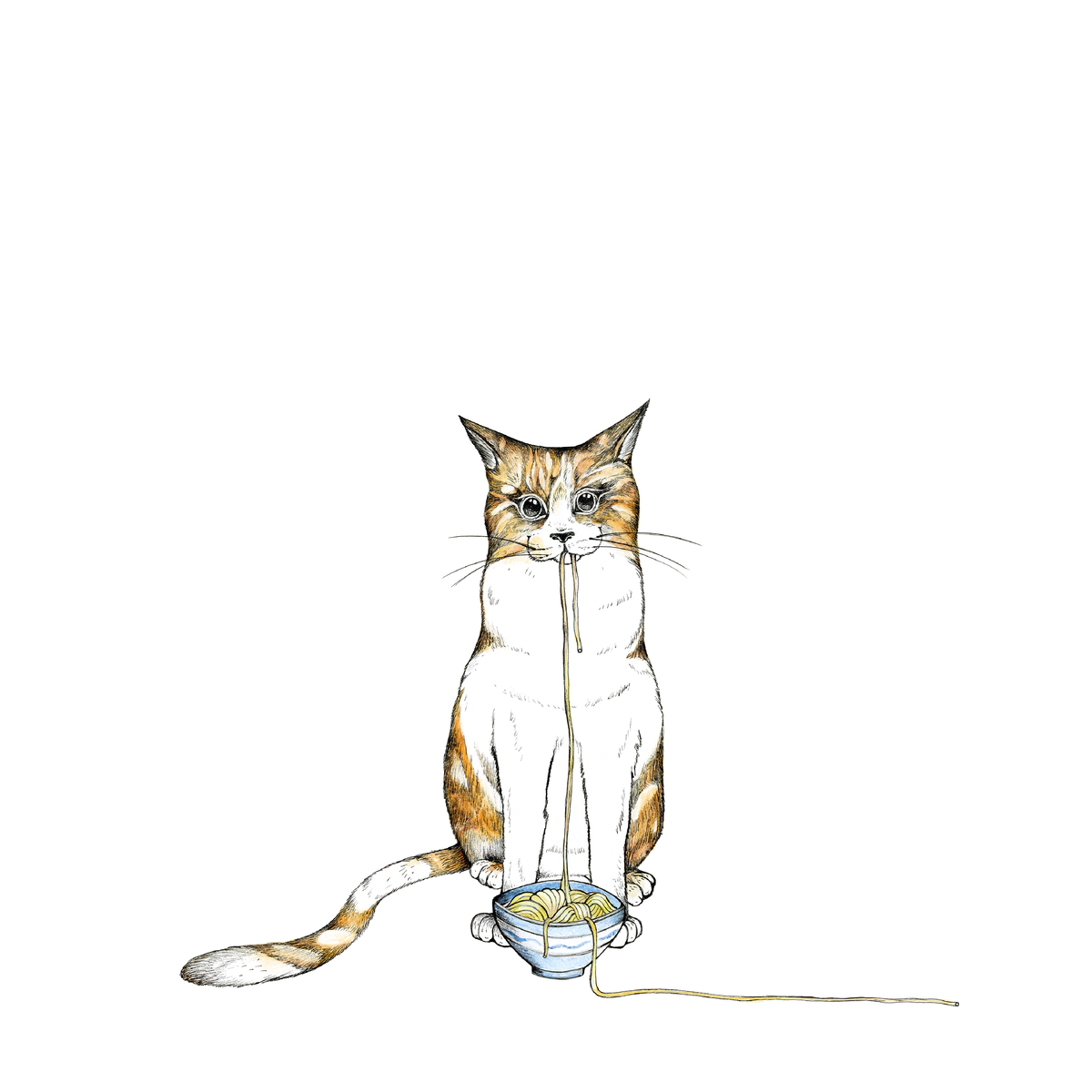 RAMEN CAT 0,7 l Glasflasche